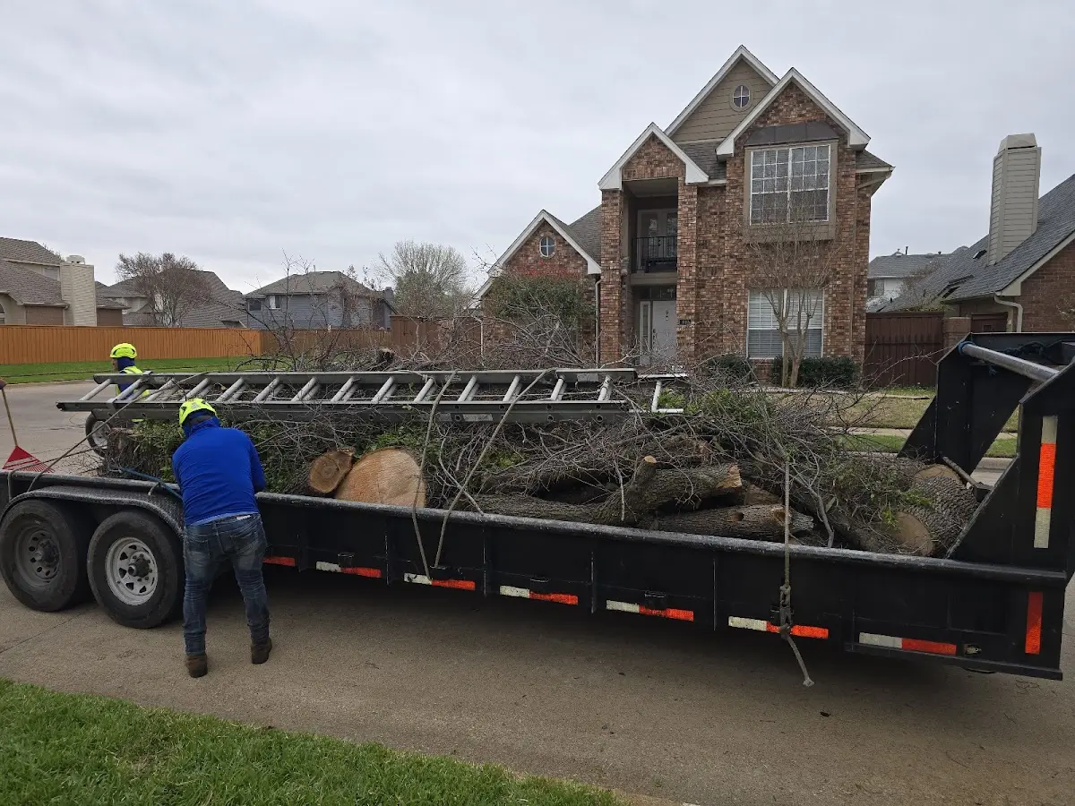 Expert Lot Clearing with proper safety equipment in Arlington
